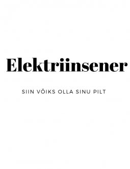 Elektriinsener